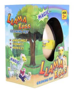 Growing Pet Llama (Min Order Qty 12)